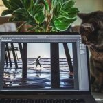 Speed Up Your Workflow with Photoshop Automation Speed Up Your Workflow with Photoshop Automation