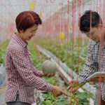 Technology in Agriculture and Food Production Innovations Technology in Agriculture and Food Production Innovations