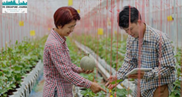 Technology in Agriculture and Food Production Innovations Technology in Agriculture and Food Production Innovations