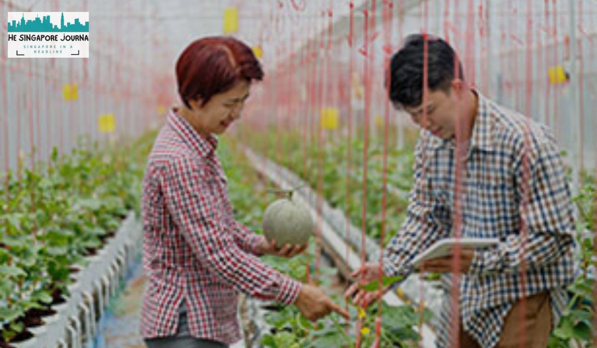 Technology in Agriculture and Food Production Innovations