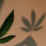 Tips for a Healthy and Productive Lifestyle