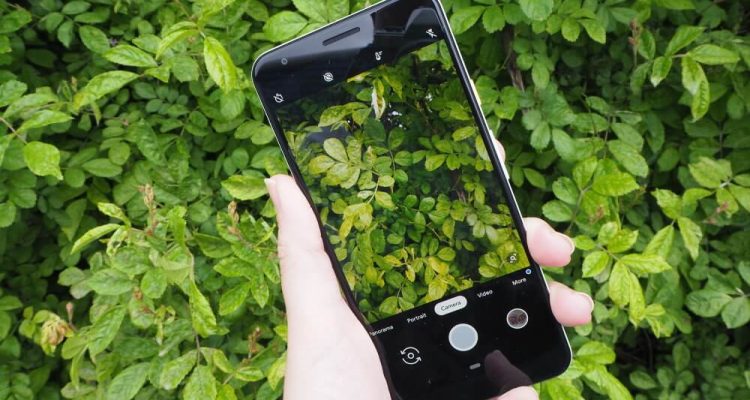 Best Phones for Mobile Photography Unleashing Your Creativity Best Phones for Mobile Photography Unleashing Your Creativity