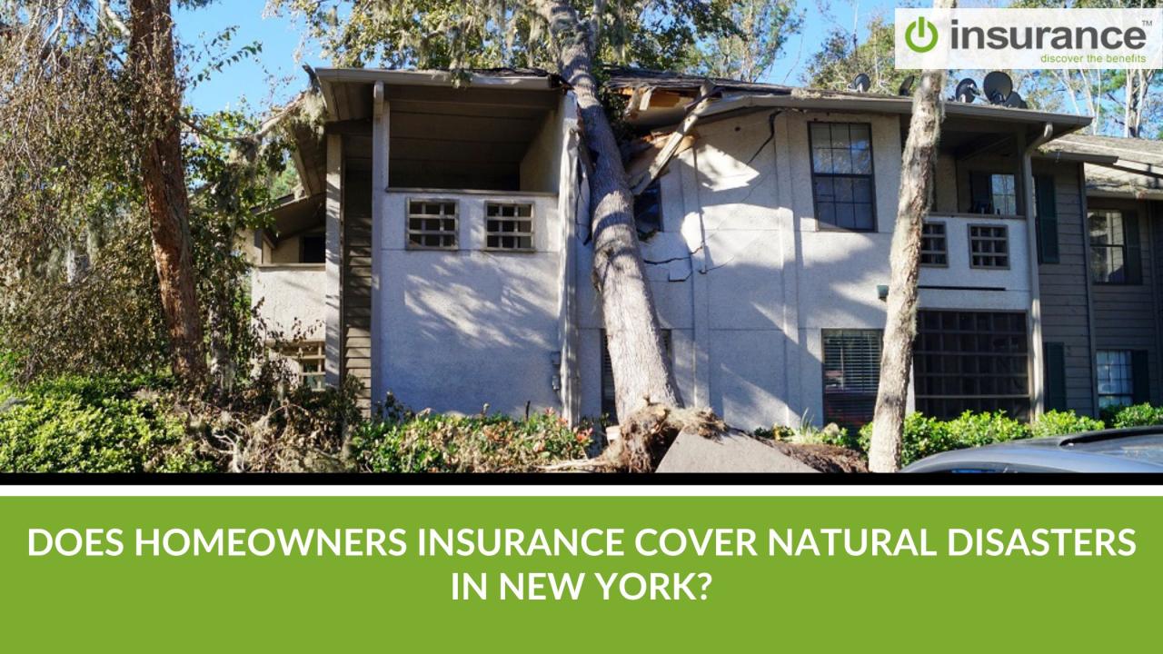 How Does Homeowners Insurance Protect Against Natural Disasters